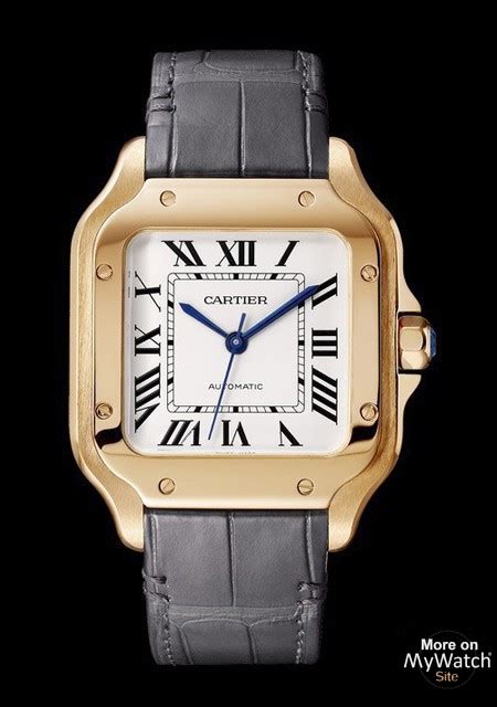 cartier wgsa0012|Cartier Santos de Cartier Pink Gold, Medium (WGSA0012).